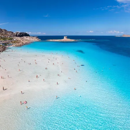 Solmar *